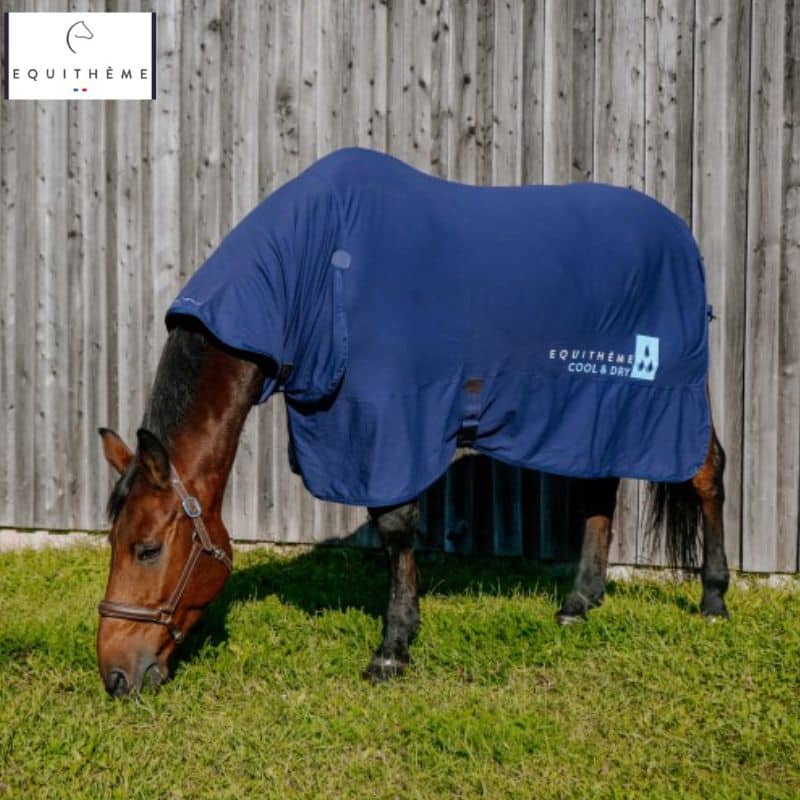 Chemise mesh rafraichissante combo cool dry cheval EQUITHÈME 400782 Sellerie Equinoxe Shop Fuveau