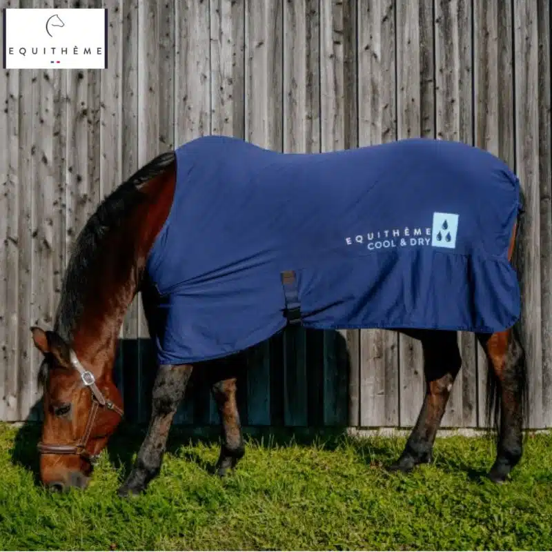 Chemise mesh rafraichissante cool dry cheval EQUITHÈME 400782 Sellerie Equinoxe Shop Fuveau