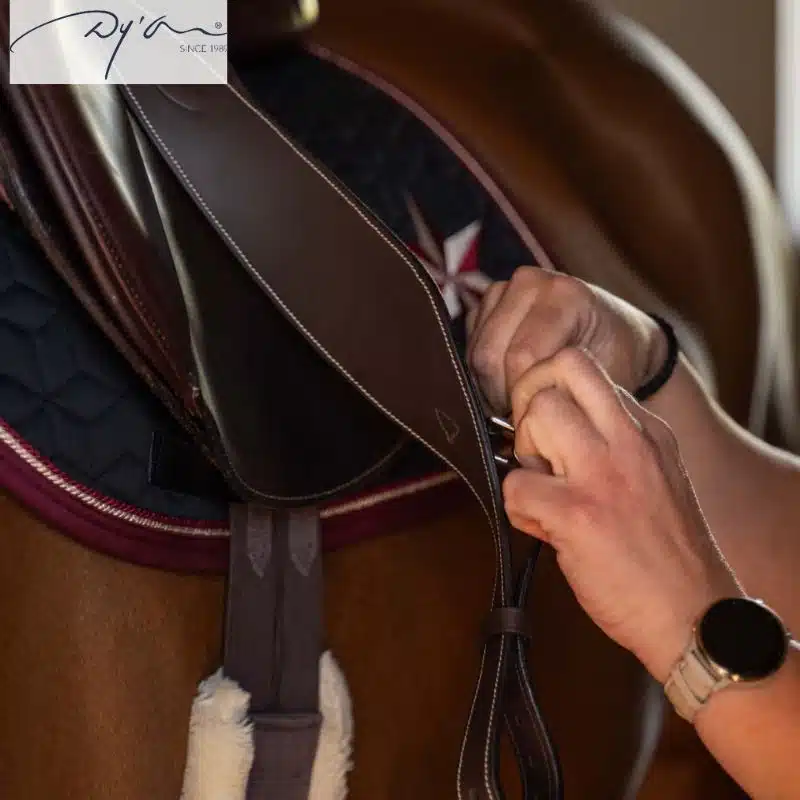 Étrivières Mono en Cuir Dy'on Kentucky SA 25001 05 havane Stabilité et Élégance Sellerie Equinoxe