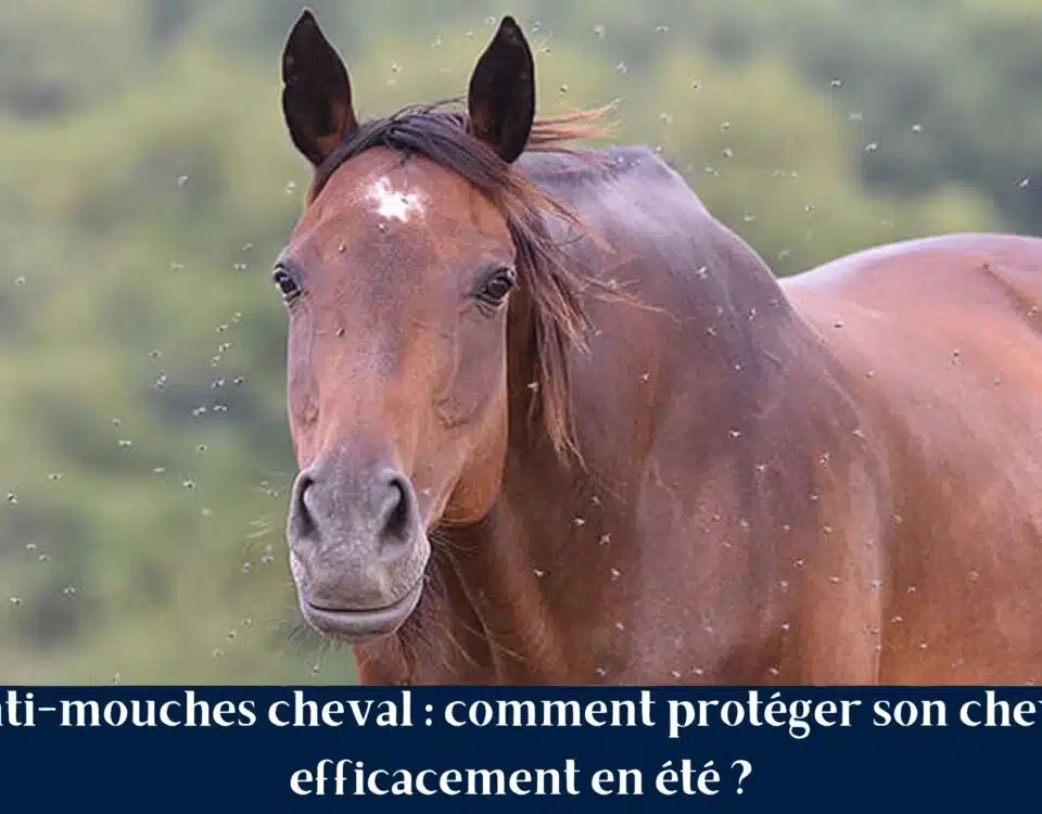 Cheval protégé avec un anti-mouches pendant la saison estivale au pré