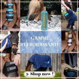 gamme refroidissante Sellerie Equinoxe Shop printemps été 2026 gamme refroidissante Sellerie Equinoxe Shop printemps été 2026