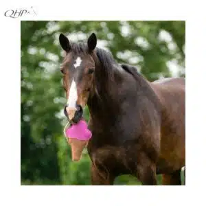 jouet-cheval-snackcounter-cornet-de-glace-Ice-cream-qhp