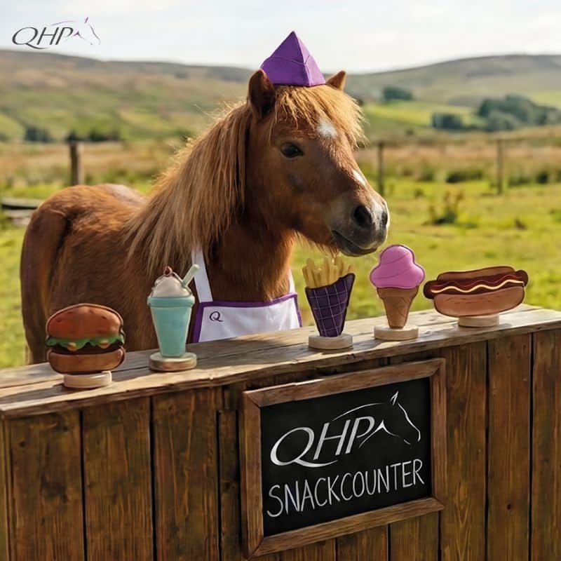 Jouet pour chevaux Snackcounter QHP à suspendre pour occuper les chevaux au box et stimuler leur activité.