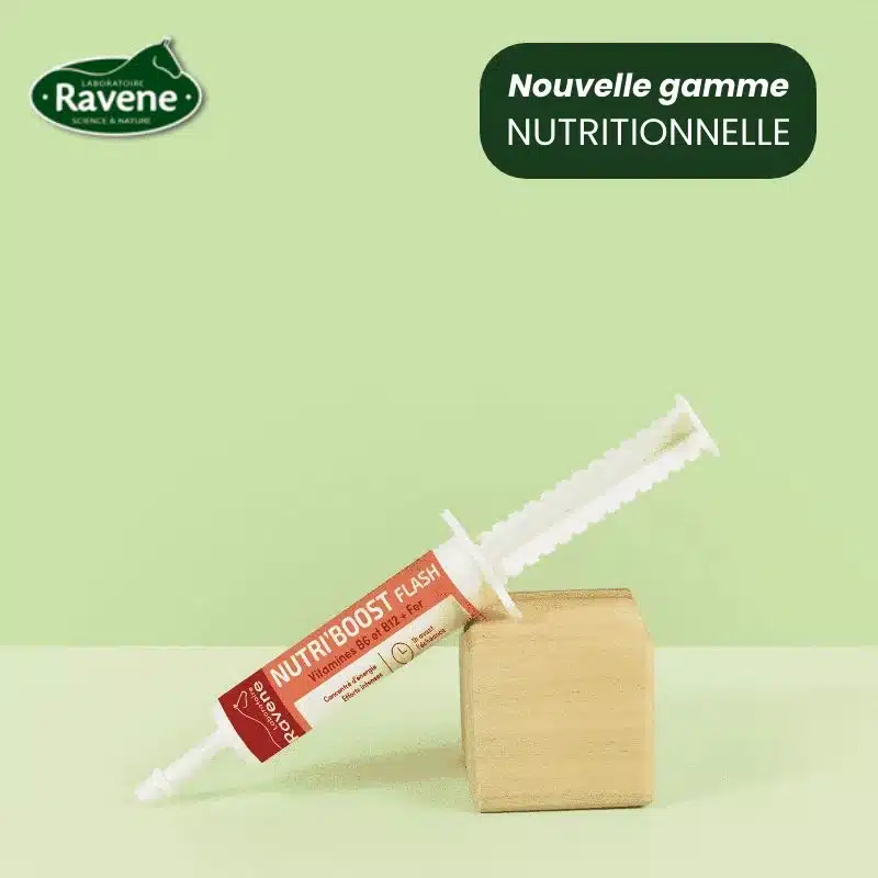 nutri-boost-flash-ravene-seringue-energie-cheval.webp Nutri'Boost Flash Ravene seringue énergétique avec vitamine E et sélénium pour cheval