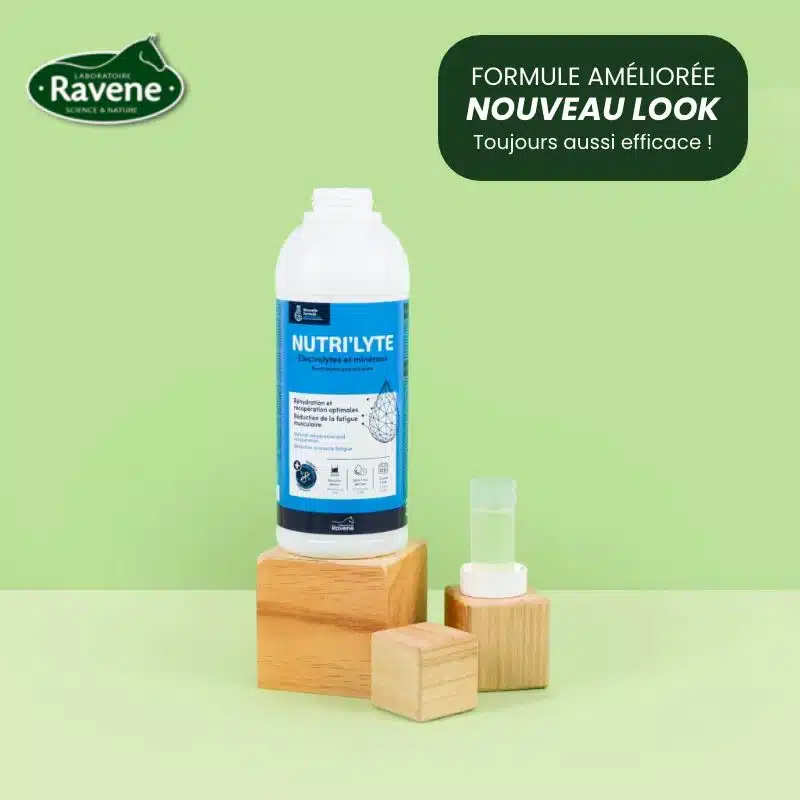 Nutri'Lyte Ravene complément alimentaire en électrolytes pour chevaux