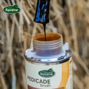pedicade-brush-ravene-soin-fourchette-cheval.webp