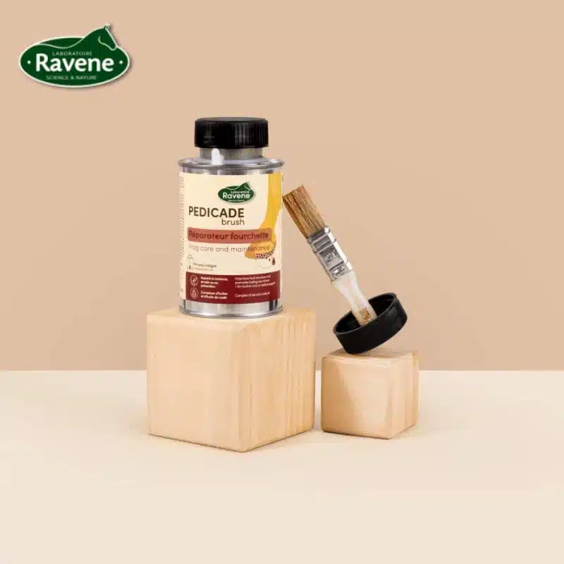 Pedicade Brush Ravene avec pinceau applicateur pour le soin de la fourchette du cheva