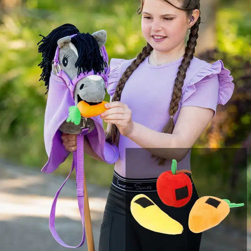 Set d'alimentation Hobby Horse QHP avec accessoires de jeu pour cheval bâton destiné aux enfants
