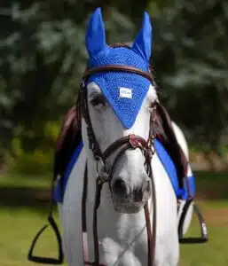 Bonnet lon GEM EQUITATION pour cheval et poney Bonnet GEM EQUITATIONfabriqué à la main en France assorti à un tapis de selle GEM.