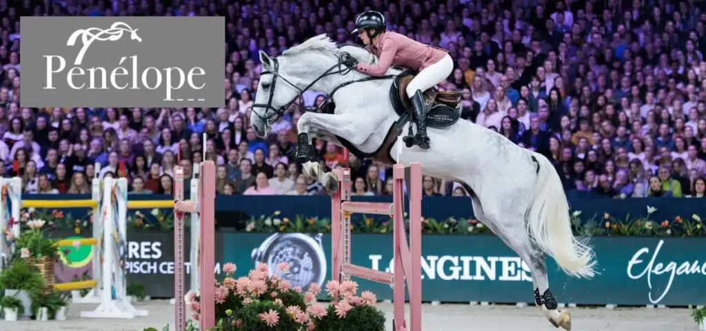 marque Pénélope collection Équipement d’équitation Pénélope pour cavalière en compétition avec cheval