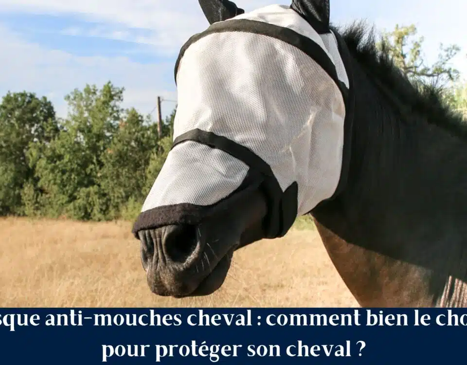 Cheval au pré portant un masque anti-mouches pour se protéger des insectes