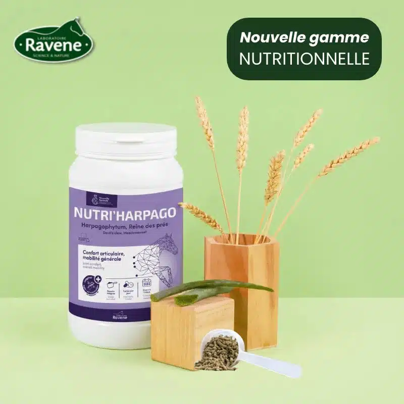Nutri'Harpago Ravene complément alimentaire à base d'harpagophytum pour le confort articulaire du cheval
