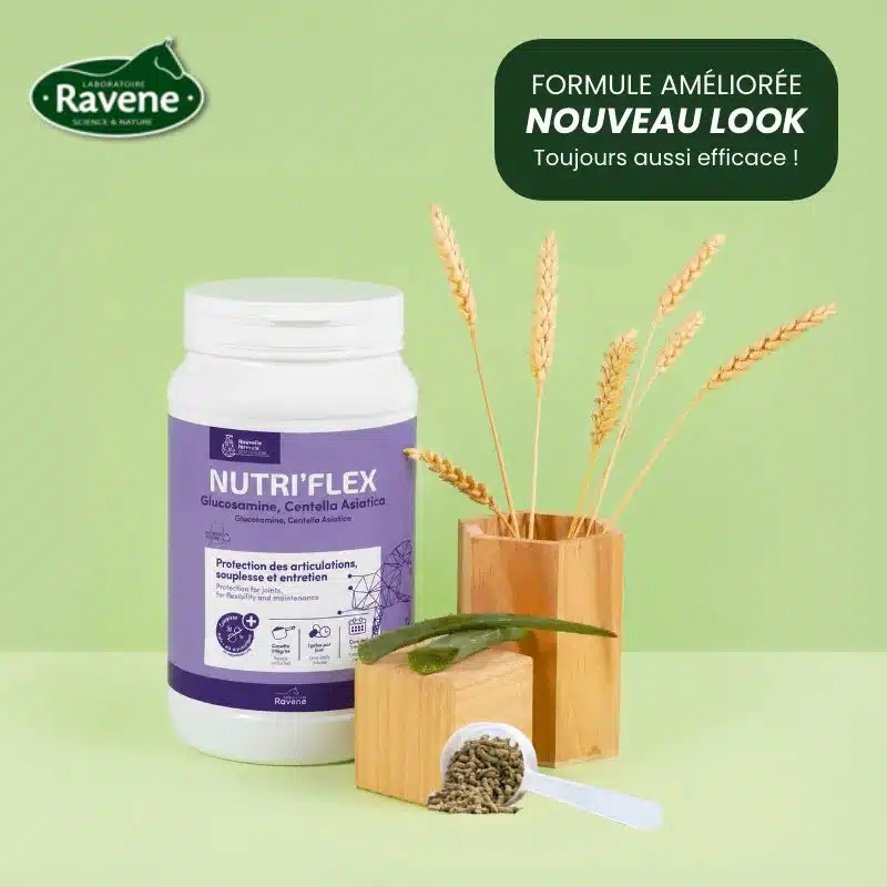 NutriFlex Ravene complément articulaire cheval NutriFlex Ravene complément alimentaire liquide pour soutenir les articulations du cheval