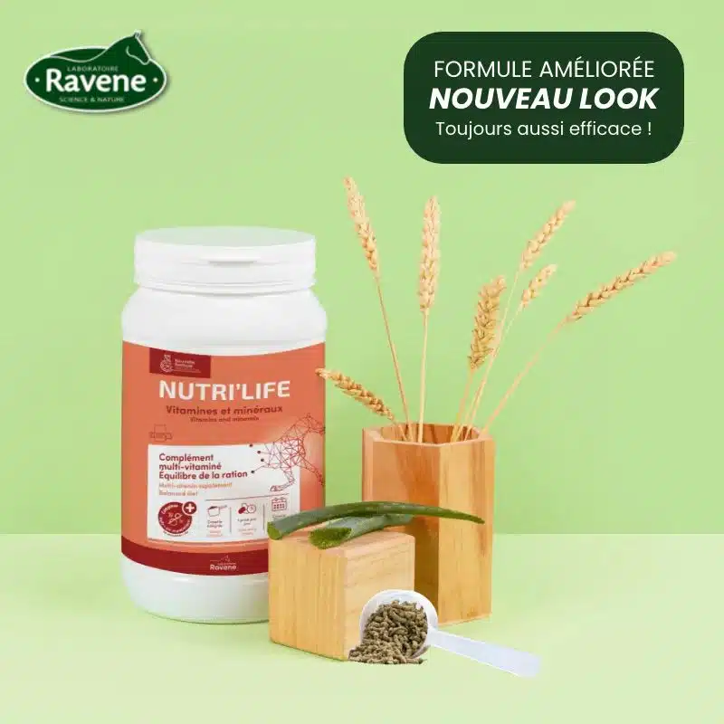 NutriLife Ravene complément alimentaire cheval vitamines minéraux oméga 3 et 6