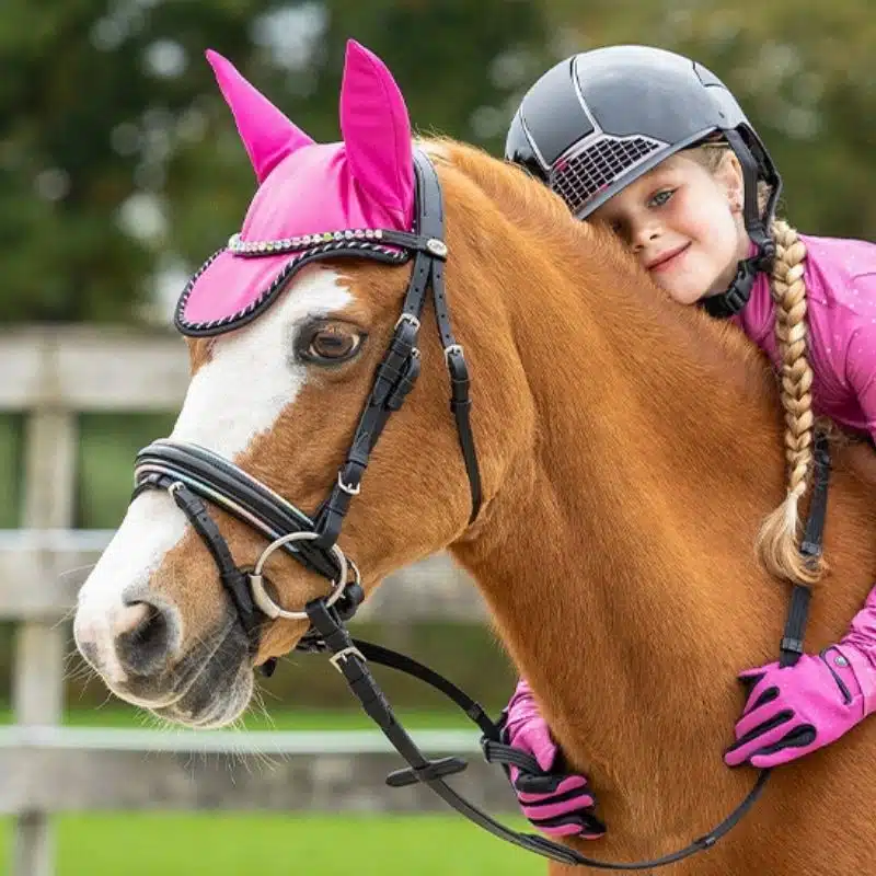 Bridon Isalyn QHP porté sur un poney avec muserolle vernie