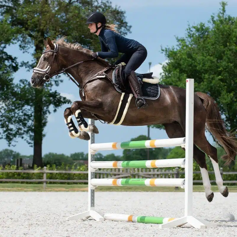 Cheval sautant avec amortisseur mousse à mémoire Ontario QHP