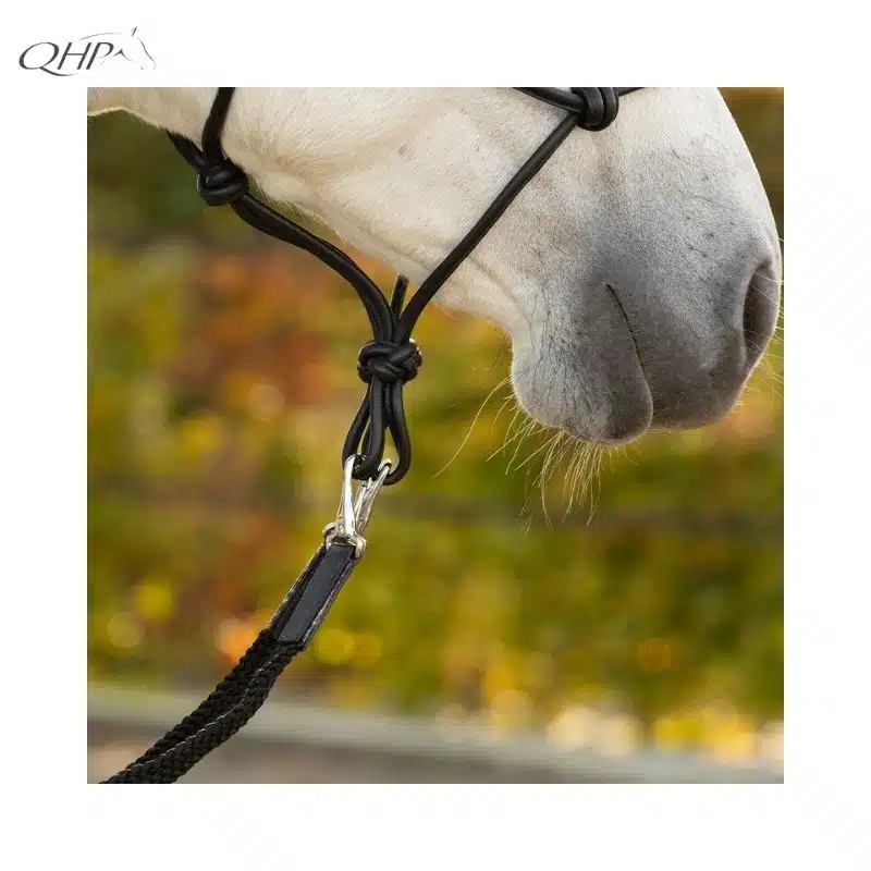 Clips des rênes éthologiques Liberta QHP Clips rênes licol éthologique Liberta QHP