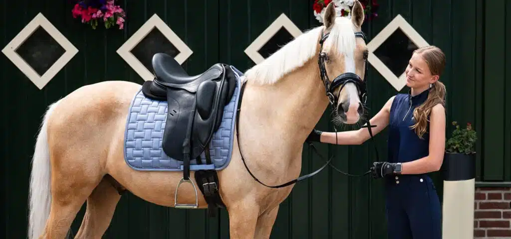 Collection QHP Printemps été Collection QHP Printemps Été équitation cheval et cavalier
