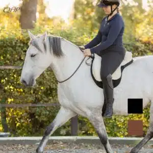 Corde au cou réglable Liberta QHP Corde au cou réglable cheval Liberta QHP sur cheval monté par une cavalière