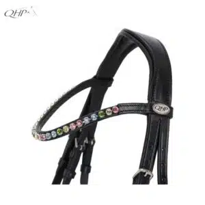 Frontal du bridon Isalyn QHP avec strass multicolores Frontal de bridon Isalyn QHP avec strass multicolores
