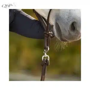 Mousqueton amovible longe Liberta QHP Mousqueton amovible longe éthologique Liberta QHP