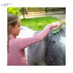 Pansage du cheval avec le kit Lucky Start QHP Pansage cheval avec Coffret Lucky Start QHP