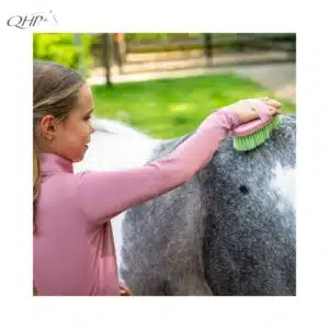 Pansage du cheval avec le kit Lucky Start QHP Pansage cheval avec Coffret Lucky Start QHP