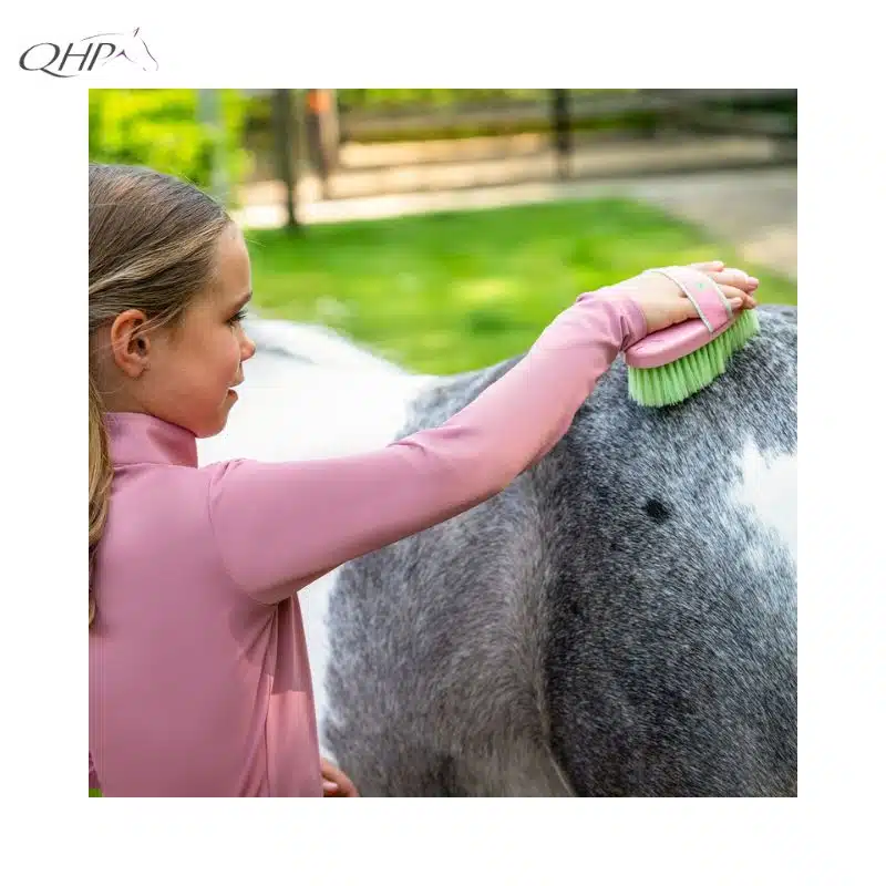 Pansage cheval avec Coffret Lucky Start QHP