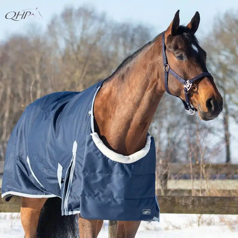 Protection de poitrail Ontario QHP sous couverture sur un cheval