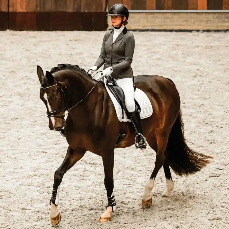 QHP Collection élégante pour cavalier et cheval