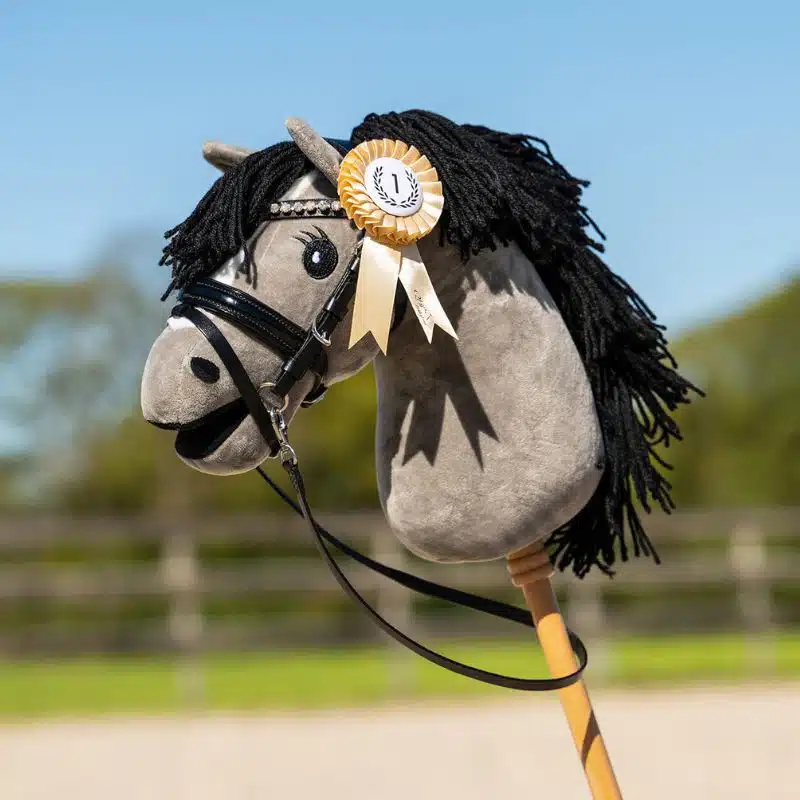 Rosace or première place Hobby Horse QHP