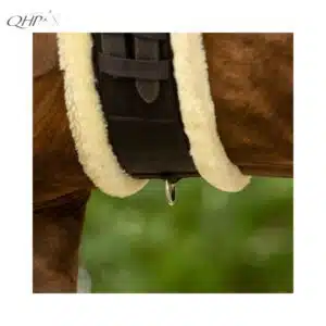 Sangle Ontario QHP – anneau central et boucles à rouleaux Anneau central et boucles à rouleaux Sangle courte Ontario QHP