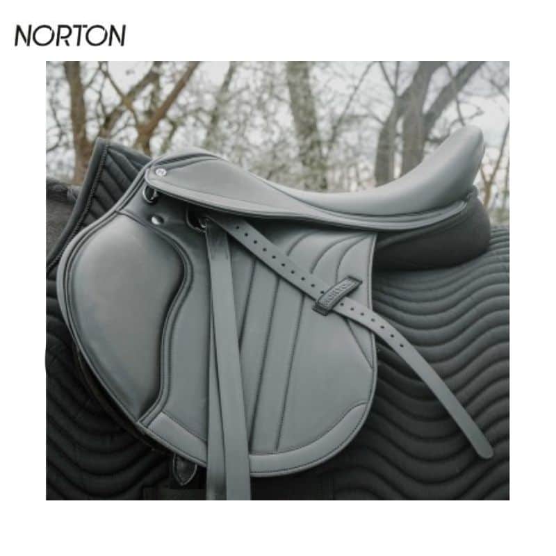Selle NORTON EK-Rexine Progress Mixte sur cheval, vue de profil