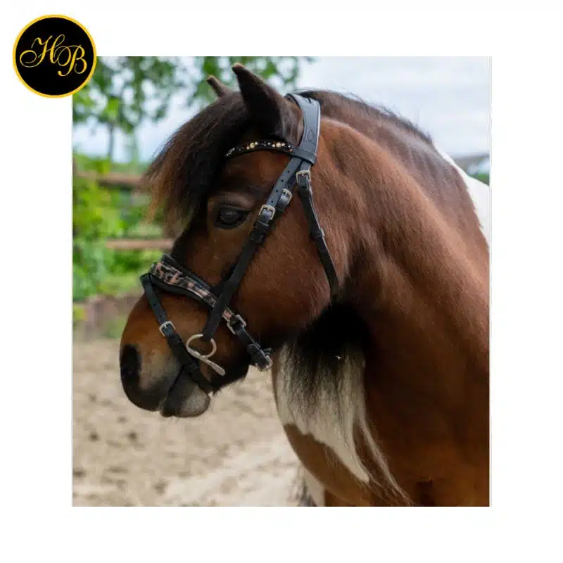 bridon-anatomique-hb-ruitersport-showtime-leopard-poney-automne-2026 (2) vue de profil du bridon anatomique HB Showtime Leopard 354A