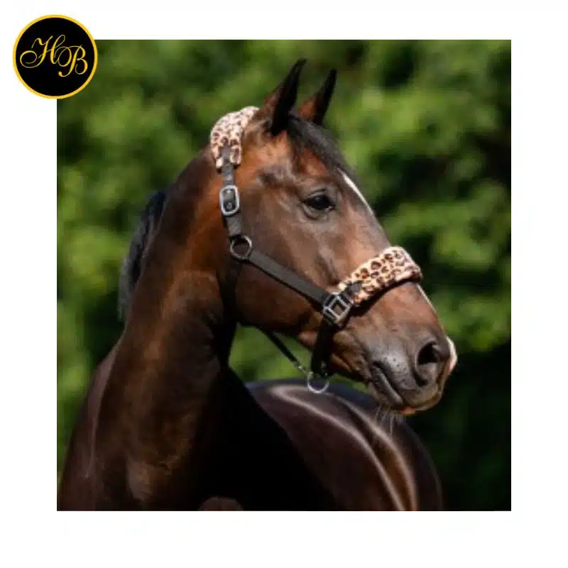 vue de profil du Licol HB Ruitersport Halsters Funny Léopard cheval
