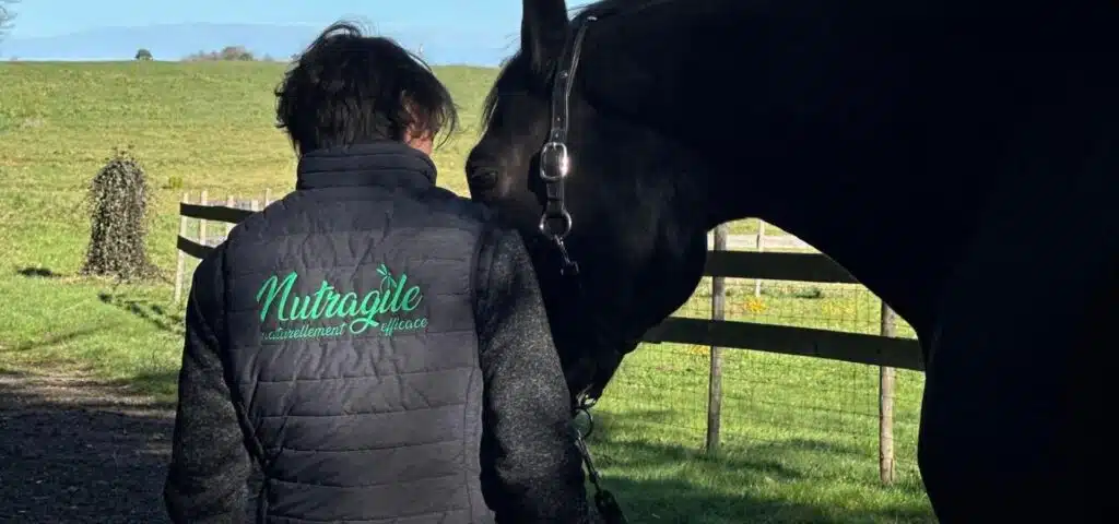 cheval-bien-etre-complements-nutragile Cheval en pleine forme dans son environnement naturel - Compléments alimentaires naturels Nutragile
