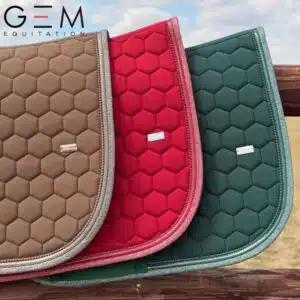 Nouveaux coloris Chocolat Cerise et Vert Forêt tapis GEM ATLAS Automne 2026