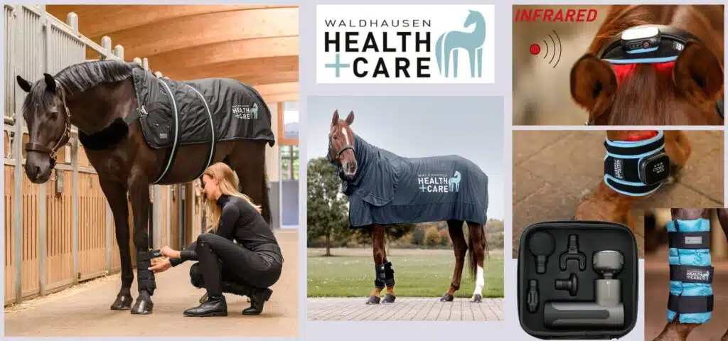 Health & Care Waldhausen – Bien-être du cheval Cheval équipé de produits Health & Care Waldhausen pour le bien-être et la récupération