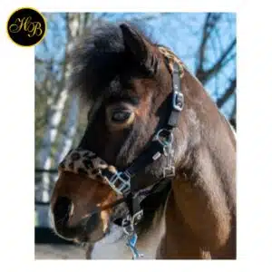 HB Halsters Funny Léopard – Licol vue de profil Licol HB Ruitersport Halsters Funny Léopard shetland