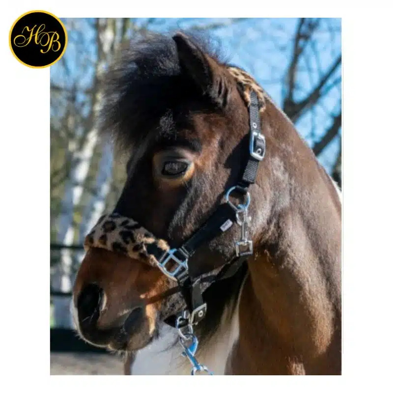 Licol HB Ruitersport Halsters Funny Léopard shetland