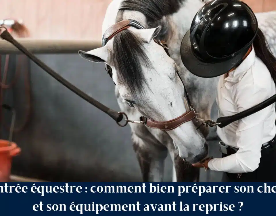 Cavalier préparant son cheval avant la reprise des entraînements pour la rentrée équestre