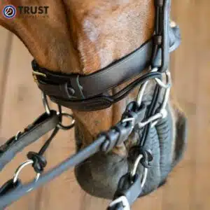 TRUST Curbgag Rope Leather black monté sur un mors Gourmette TRUST Curbgag Rope Leather black E25904 montée sur un mors