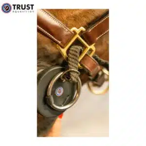 trust-sponge-bit-cheval-bouche-sensible TRUST Sponge Bit dans la bouche d'un cheval à bouche sensible
