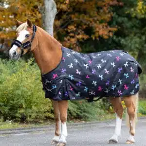 Couverture de paddock Isalyn QHP 600D 100 g noire licorne Couverture de paddock Isalyn QHP 600D 100 g noire licorne porté par un poney