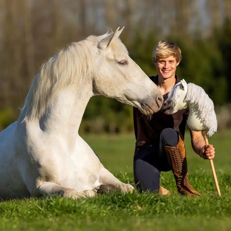 Nalanta Hobby Horse Antares QHP inspiré du cheval de Jesse Drent