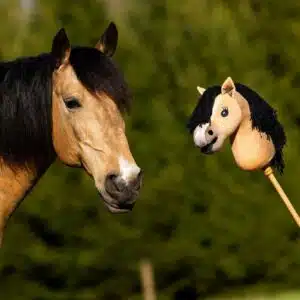 Hobby Horse Gaio QHP – Inspiré du cheval de Jesse Drent Nalanta Hobby Horse Gaio QHP inspiré du cheval de Jesse Drent