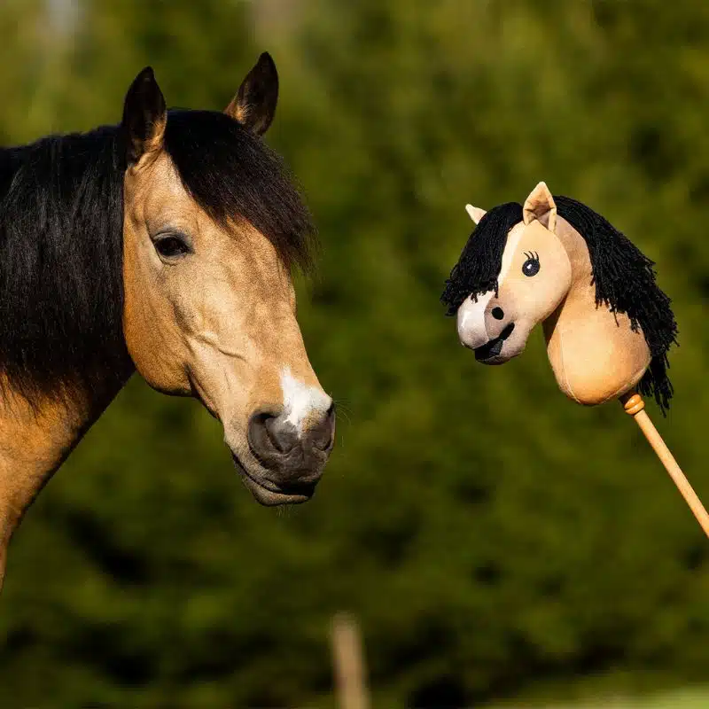 Nalanta Hobby Horse Gaio QHP inspiré du cheval de Jesse Drent