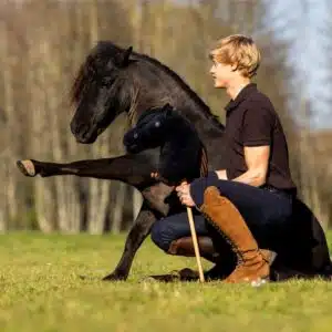 Hobby Horse Macho QHP – Inspiré du cheval de Jesse Drent Nalanta Hobby Horse Macho QHP inspiré du cheval de Jesse Drent