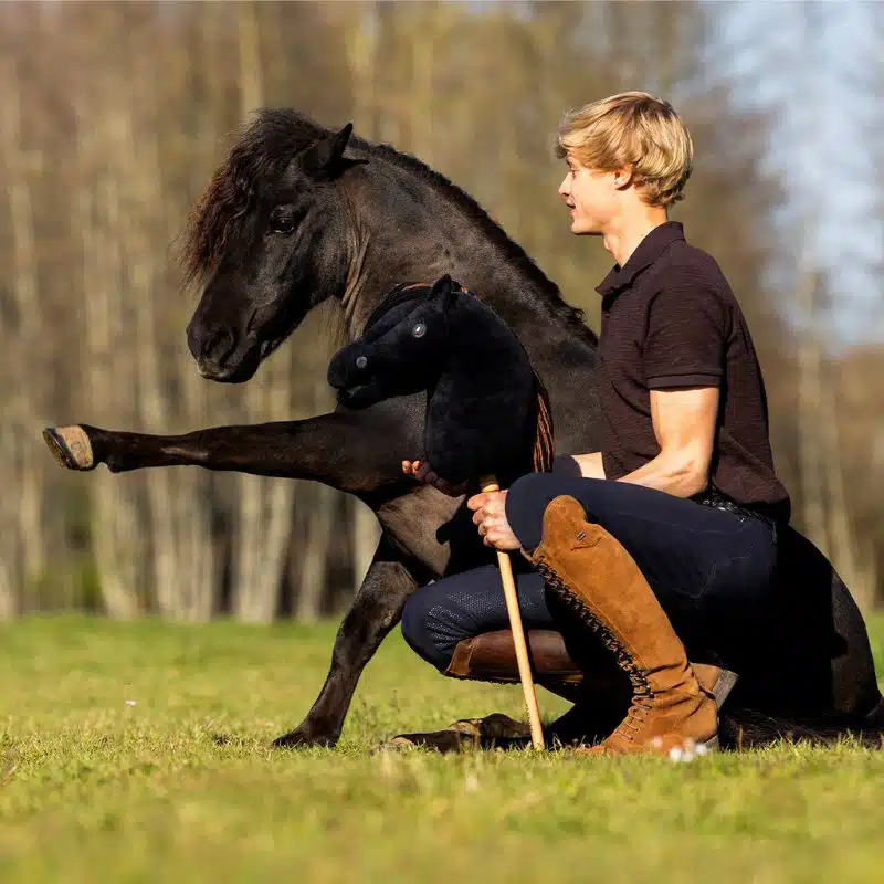 Nalanta Hobby Horse Macho QHP inspiré du cheval de Jesse Drent