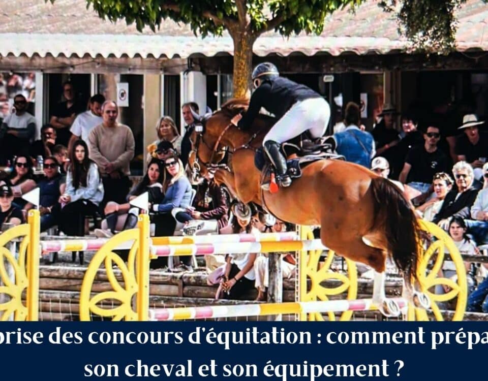 Cavalier et cheval prêts pour la reprise des concours d’équitation à l’automne 2026